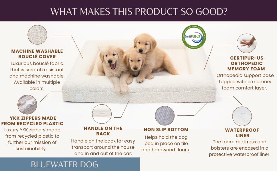 Orthopedic Memory Foam Pet Bed with Washable Cover