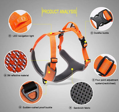 Reflective Padded Dog Harness for Walking & Hiking