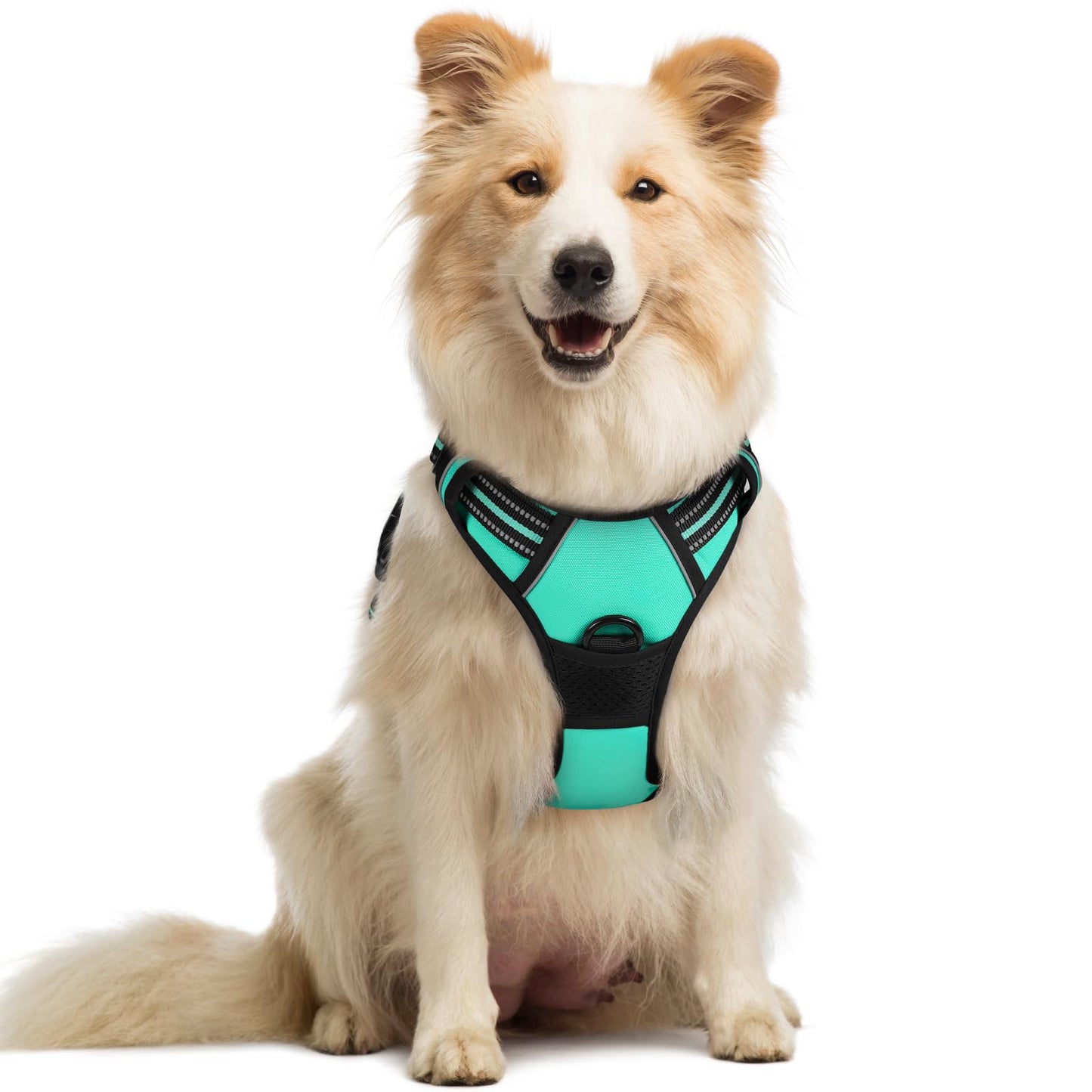 No-Pull Reflective Dog Harness with Control Handle