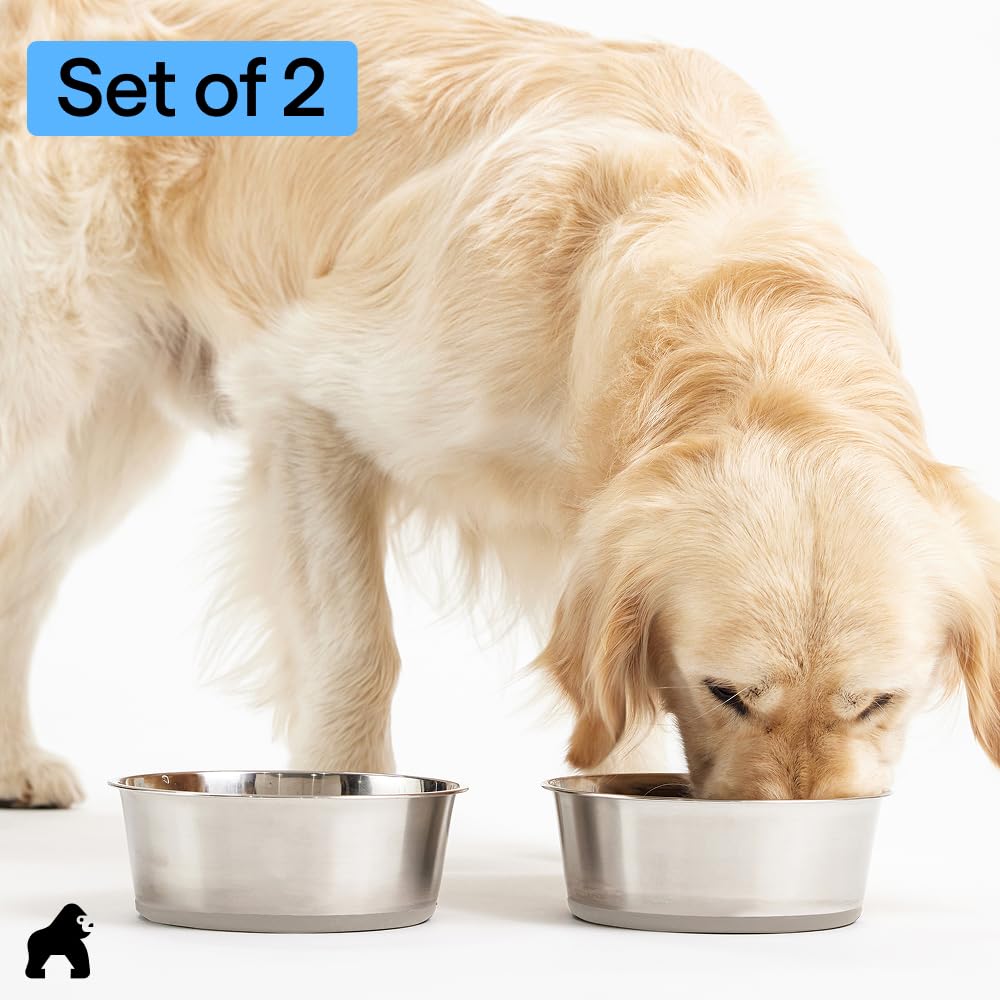 304 Stainless Steel Pet Bowls with Non-Slip Base