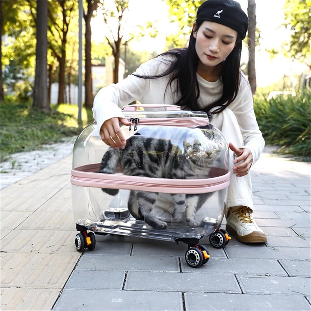 Transparent Rolling Pet Carrier for Cats & Dogs