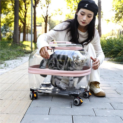 Transparent Rolling Pet Carrier for Cats & Dogs