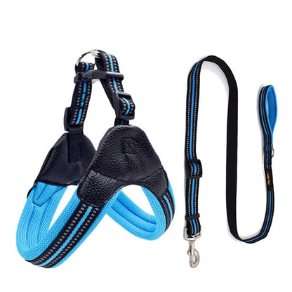 Breathable Mesh Dog Harness & Leash Set