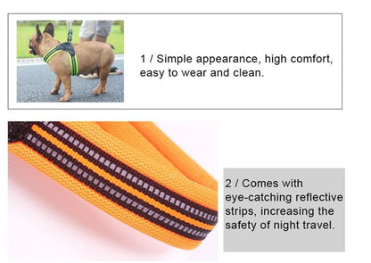 Breathable Mesh Dog Harness & Leash Set