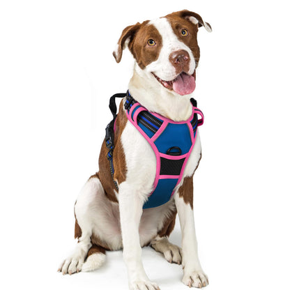 No-Pull Reflective Dog Harness with Control Handle