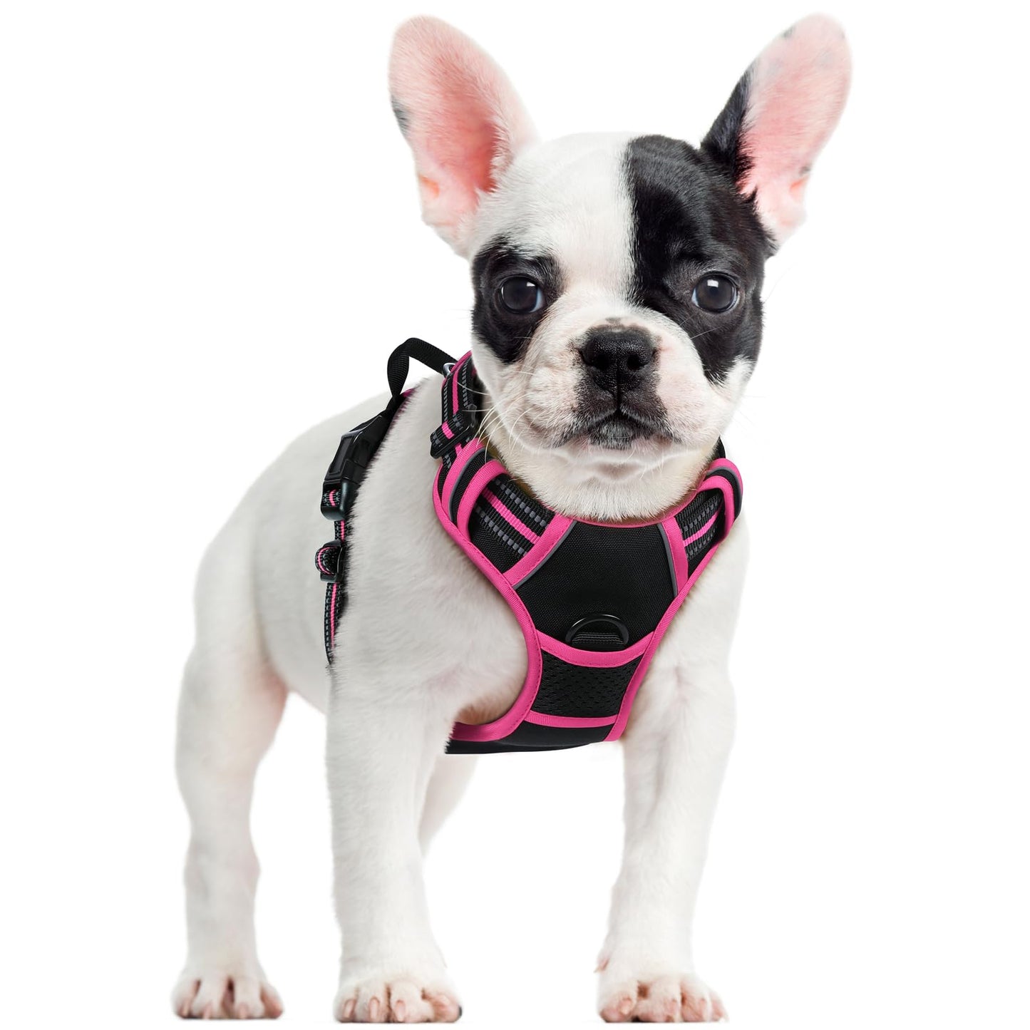 No-Pull Reflective Dog Harness with Control Handle