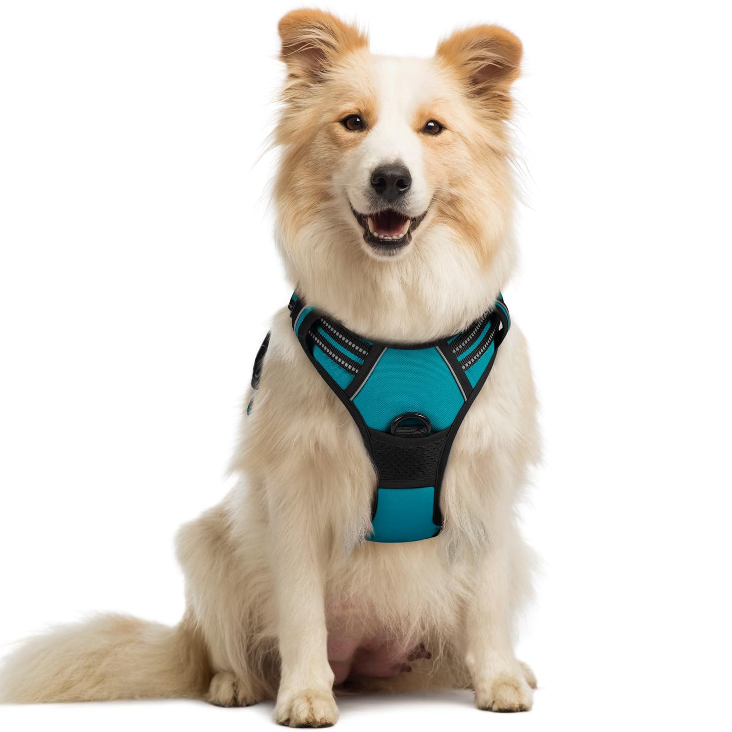 No-Pull Reflective Dog Harness with Control Handle