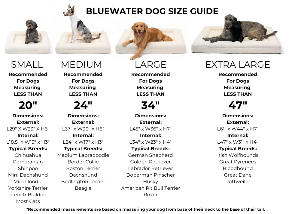 Orthopedic Memory Foam Pet Bed with Washable Cover