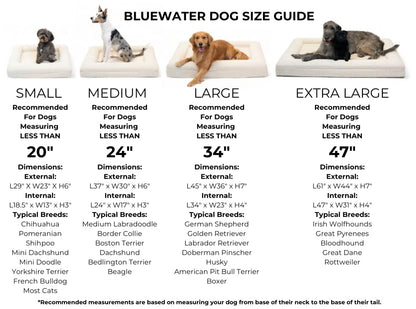 Orthopedic Memory Foam Pet Bed with Washable Cover