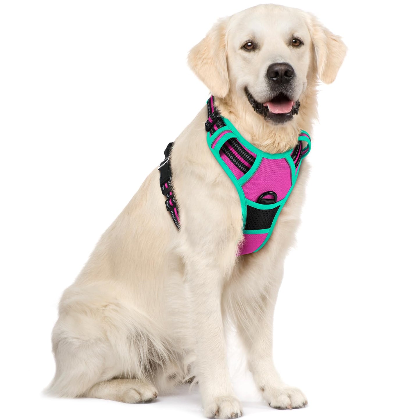 No-Pull Reflective Dog Harness with Control Handle