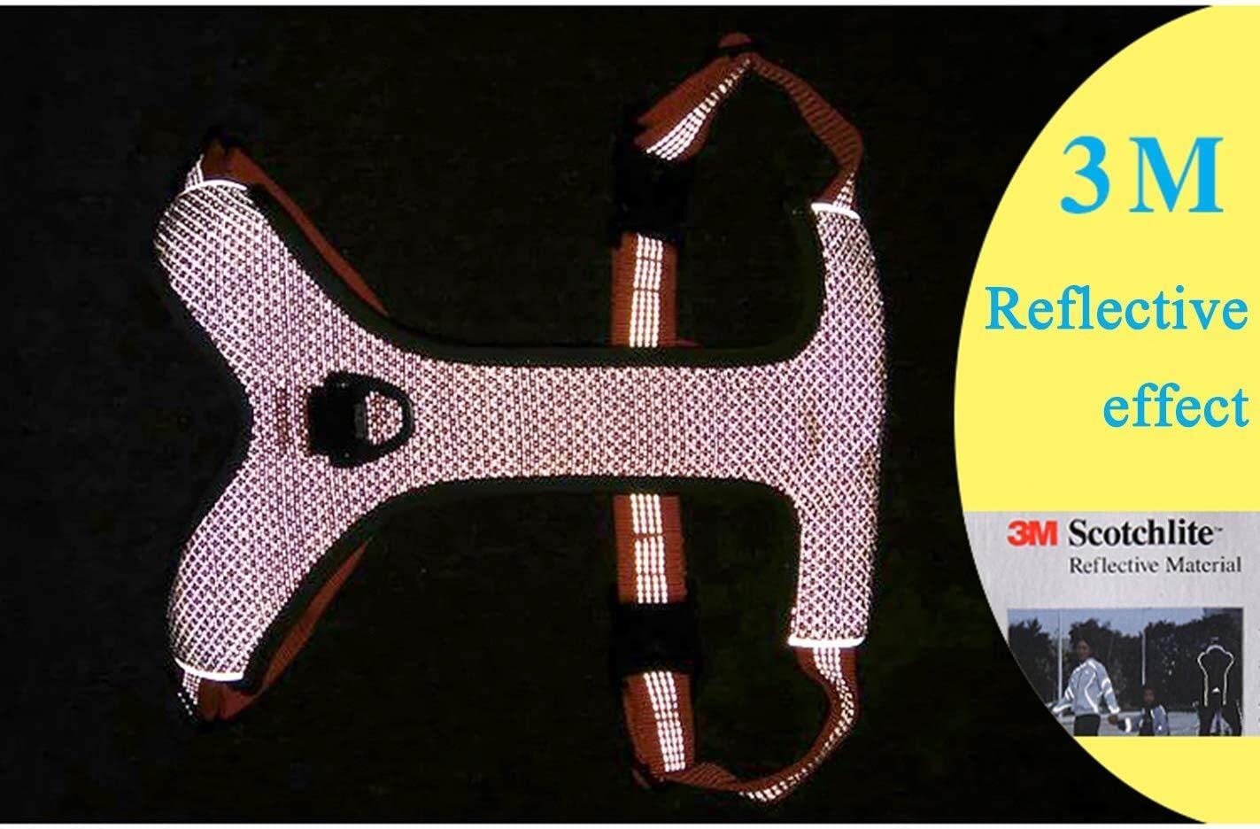 Reflective Padded Dog Harness for Walking & Hiking