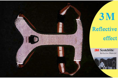 Reflective Padded Dog Harness for Walking & Hiking
