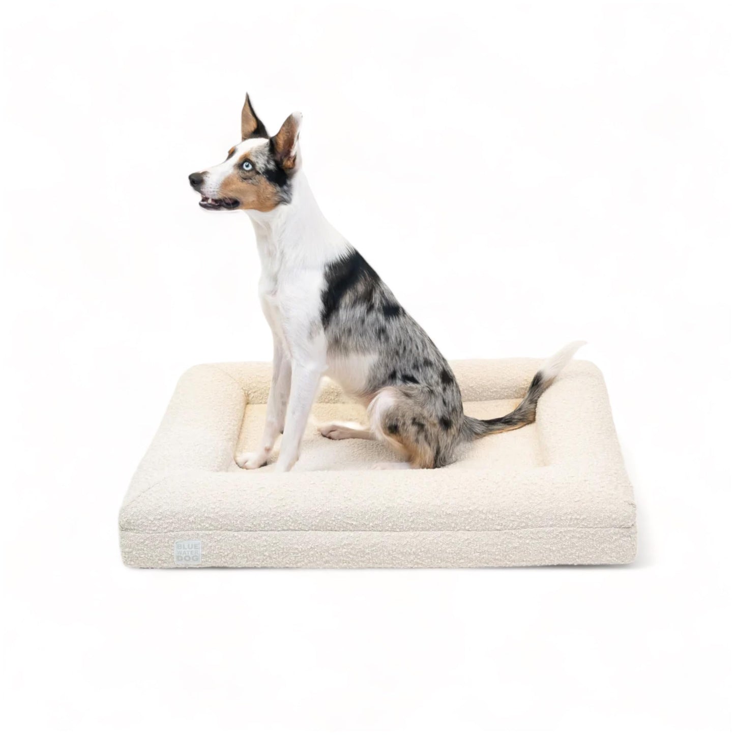 Orthopedic Memory Foam Pet Bed with Washable Cover