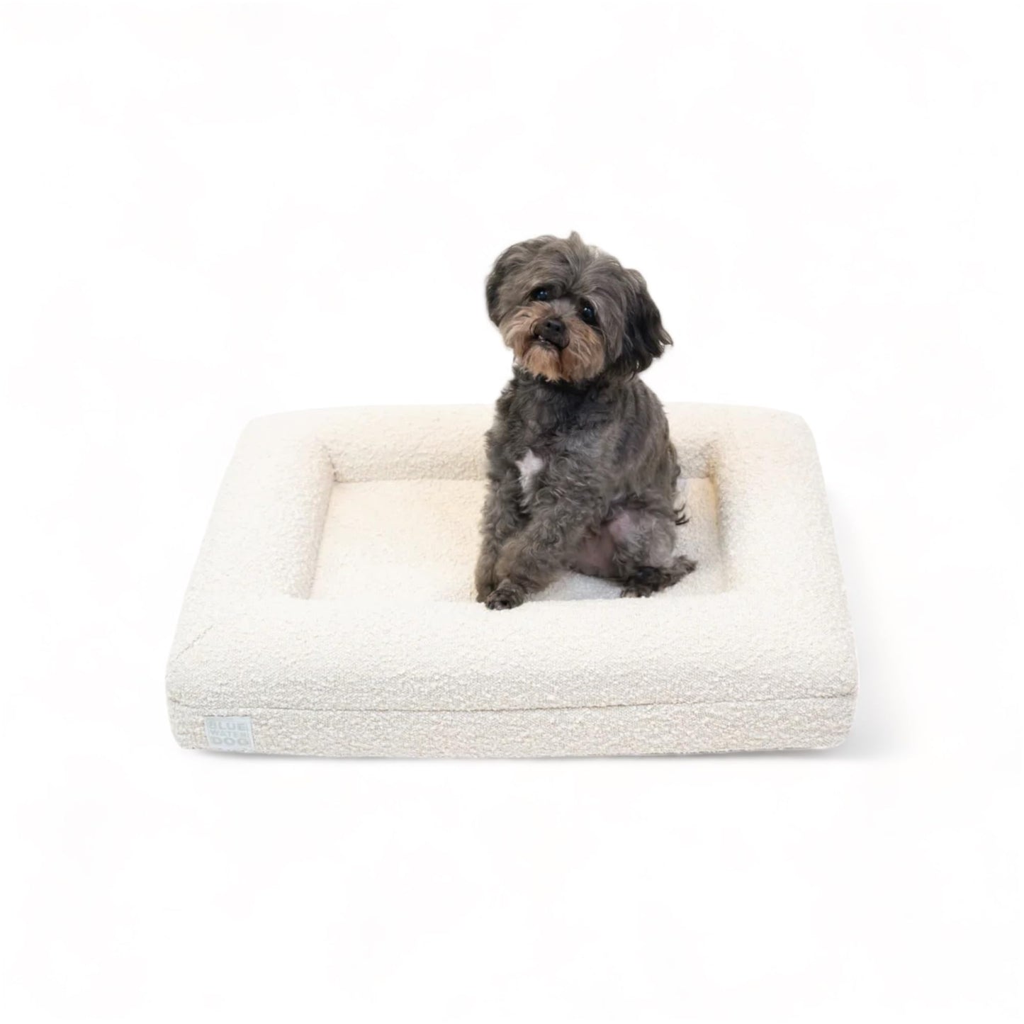 Orthopedic Memory Foam Pet Bed with Washable Cover
