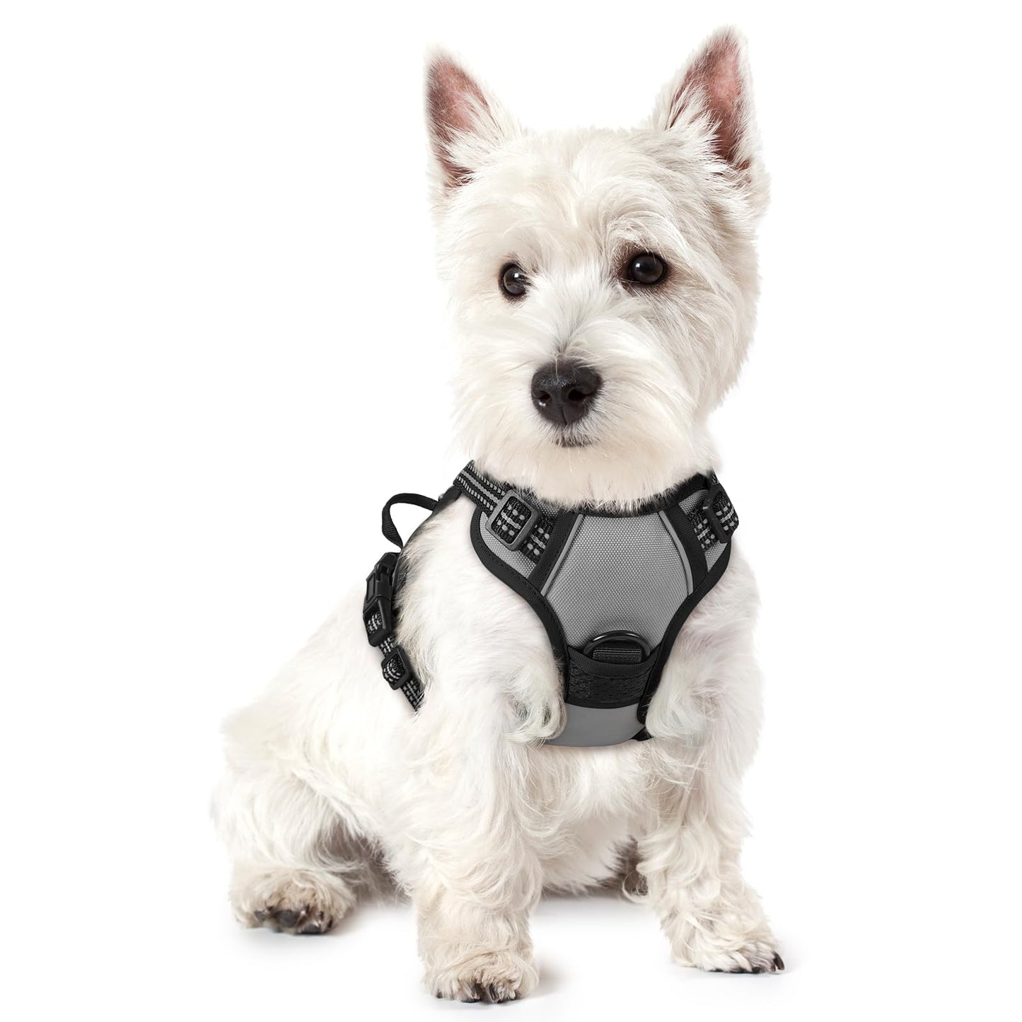 No-Pull Reflective Dog Harness with Control Handle