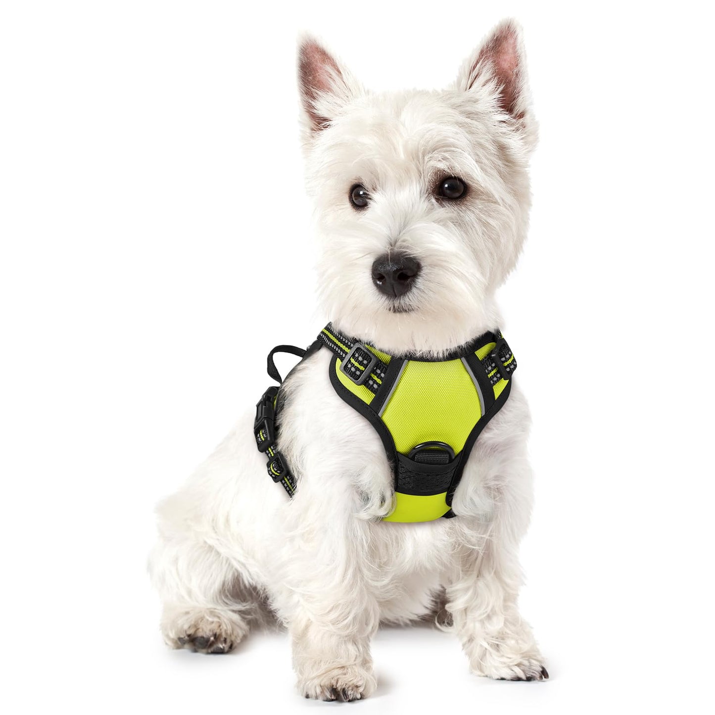 No-Pull Reflective Dog Harness with Control Handle