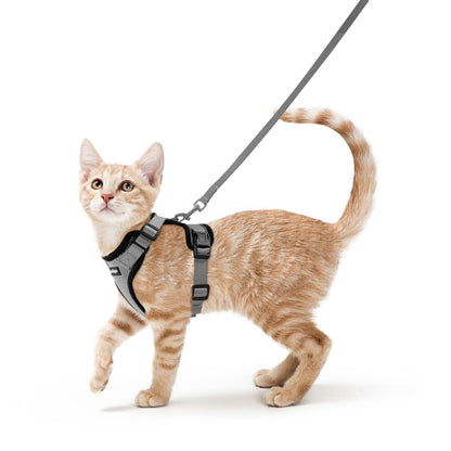 Adjustable Cat Harness & Lead Set for Walking