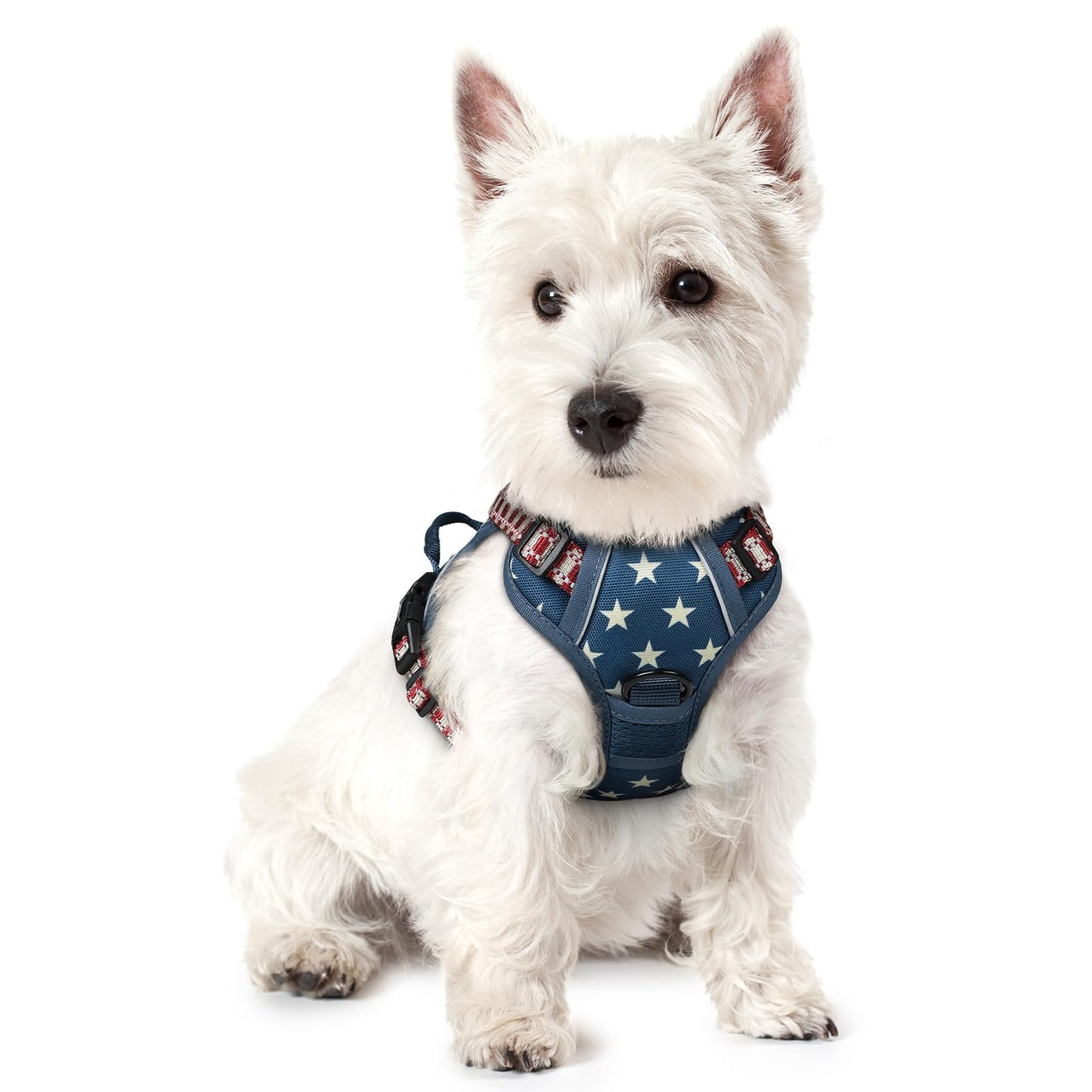 No-Pull Reflective Dog Harness with Control Handle