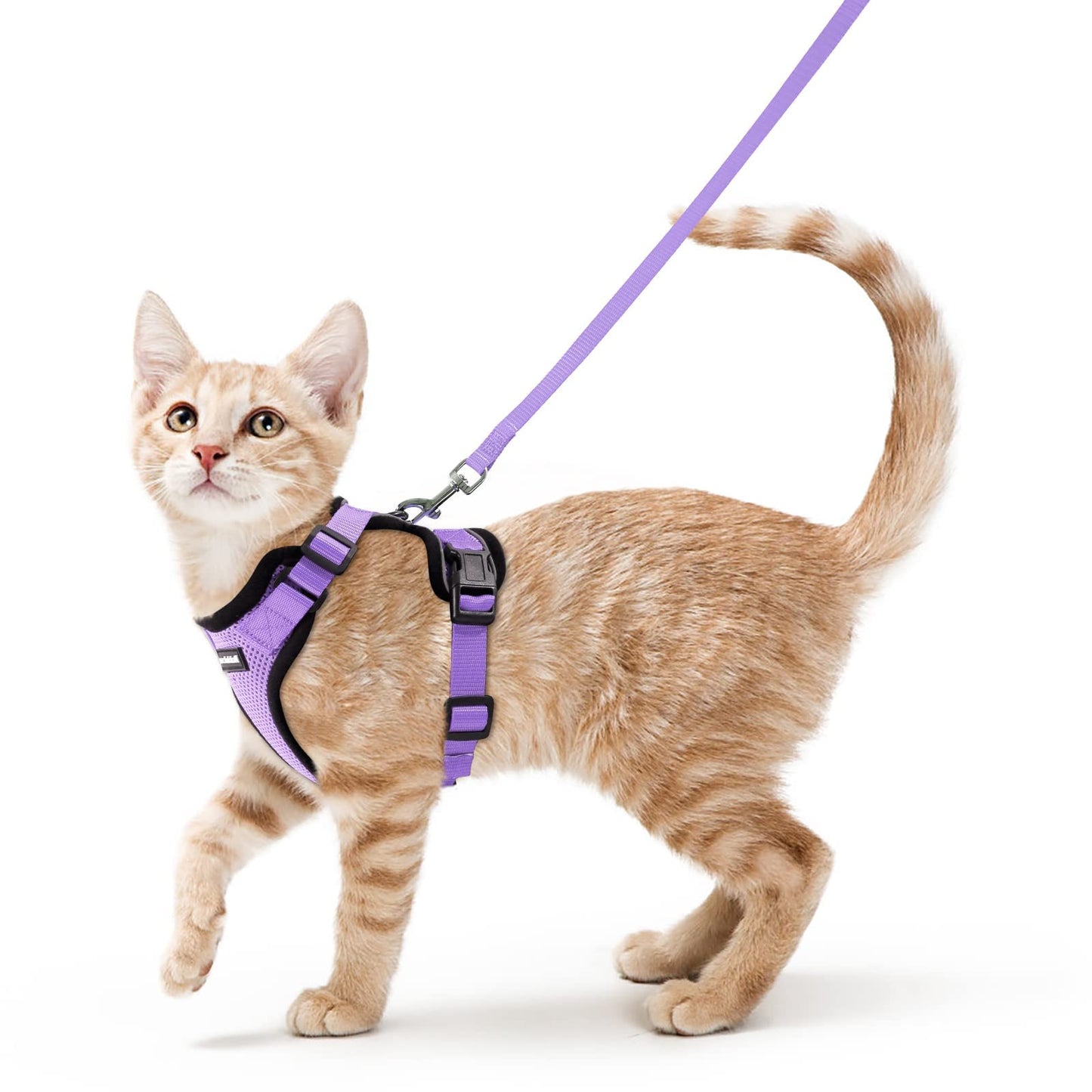 Adjustable Cat Harness & Lead Set for Walking