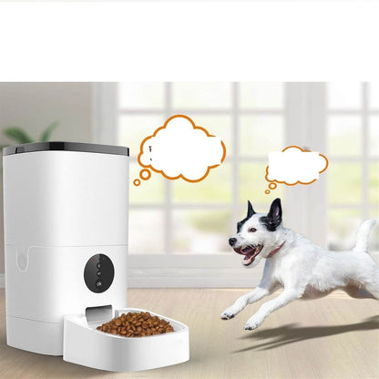 Automatic Pet Feeder with Timed Dry Food Dispenser