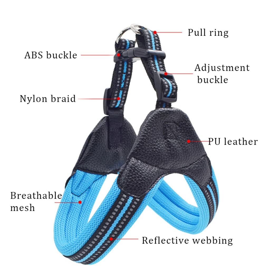 Breathable Mesh Dog Harness & Leash Set