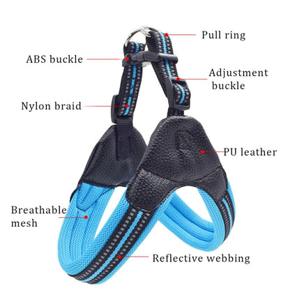 Breathable Mesh Dog Harness & Leash Set