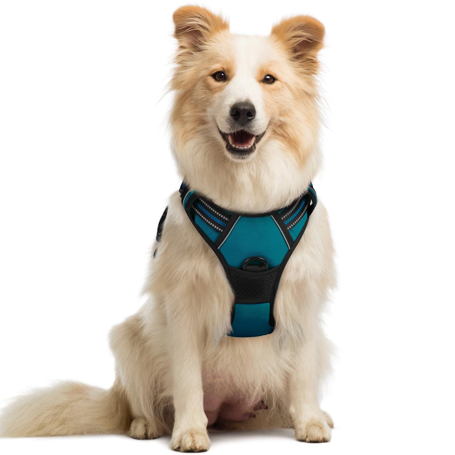 No-Pull Reflective Dog Harness with Control Handle