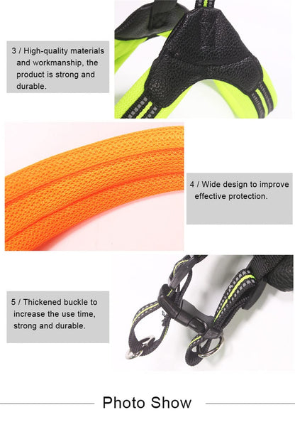 Breathable Mesh Dog Harness & Leash Set