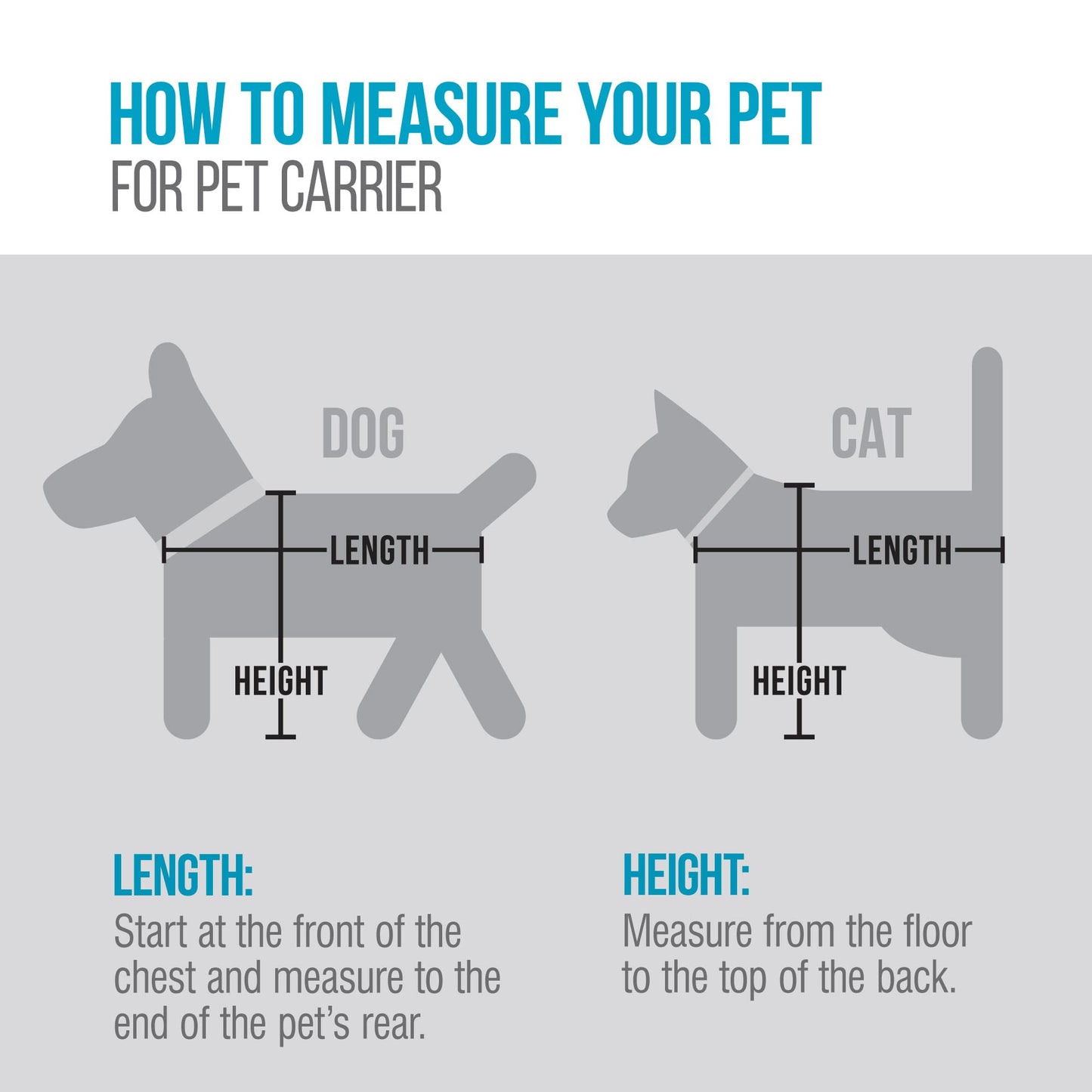 Airline-Approved Soft Pet Travel Carrier