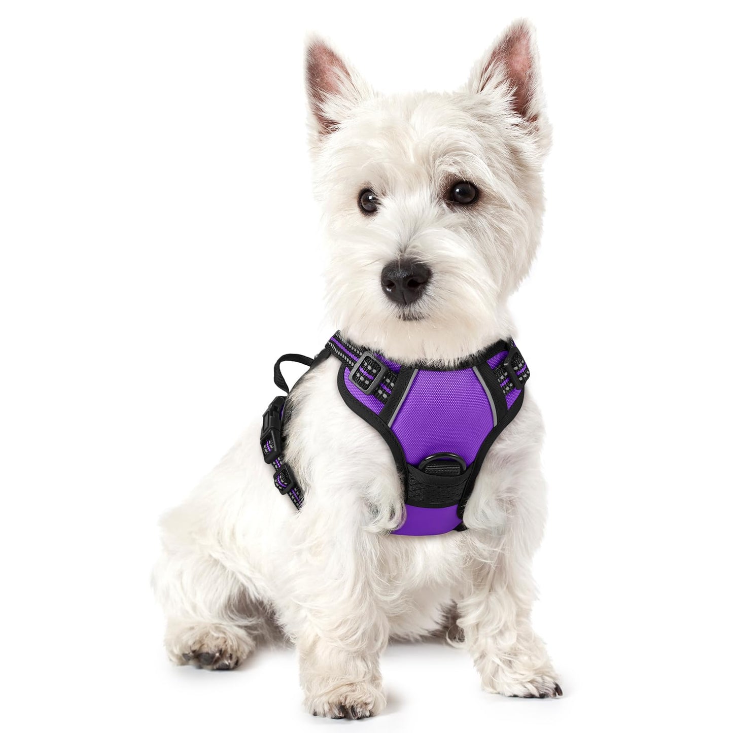 No-Pull Reflective Dog Harness with Control Handle