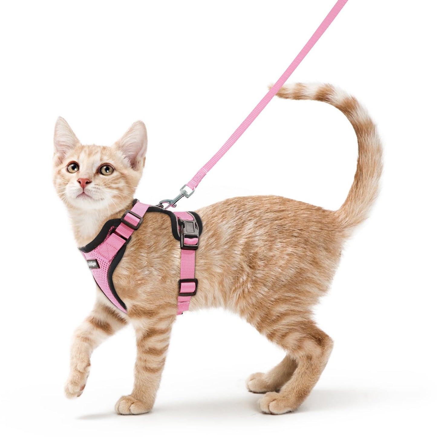Adjustable Cat Harness & Lead Set for Walking