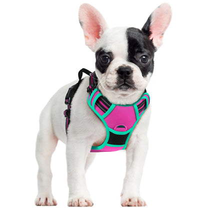 No-Pull Reflective Dog Harness with Control Handle