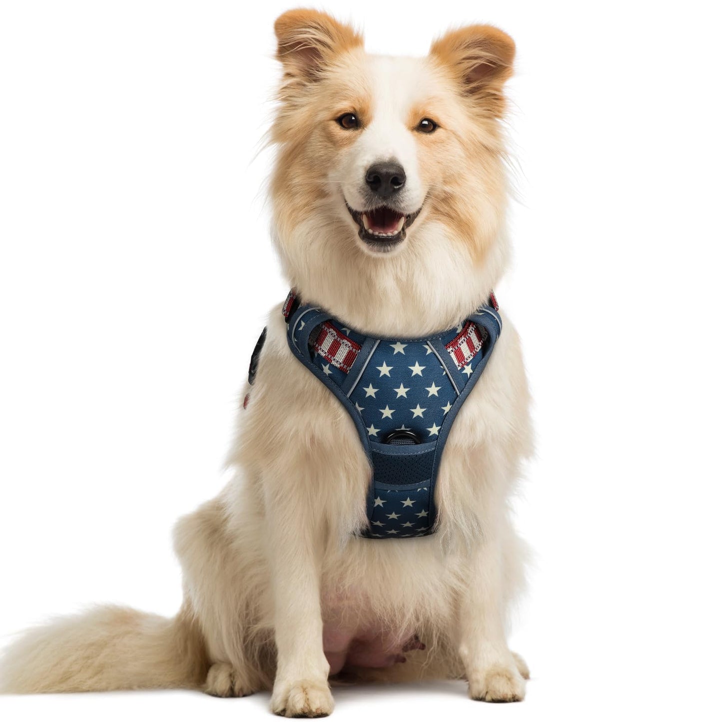 No-Pull Reflective Dog Harness with Control Handle