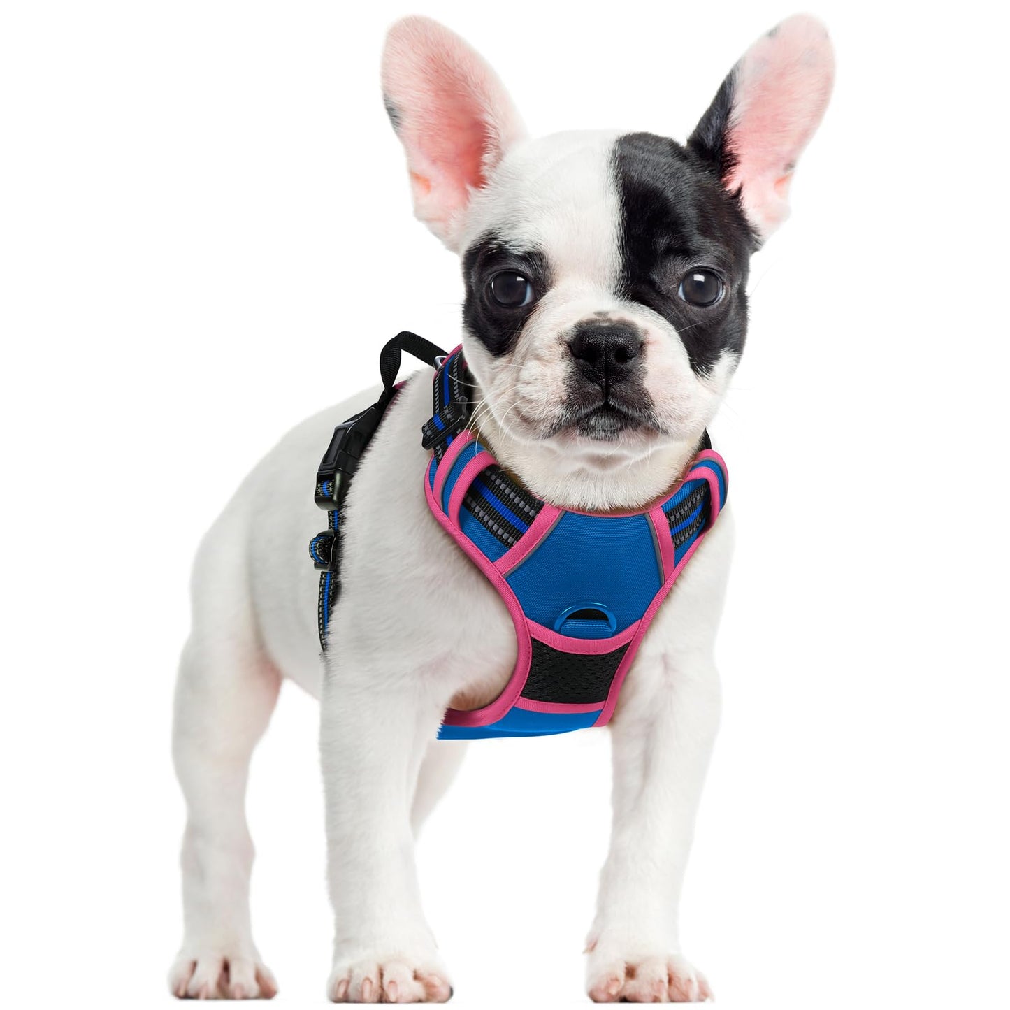 No-Pull Reflective Dog Harness with Control Handle