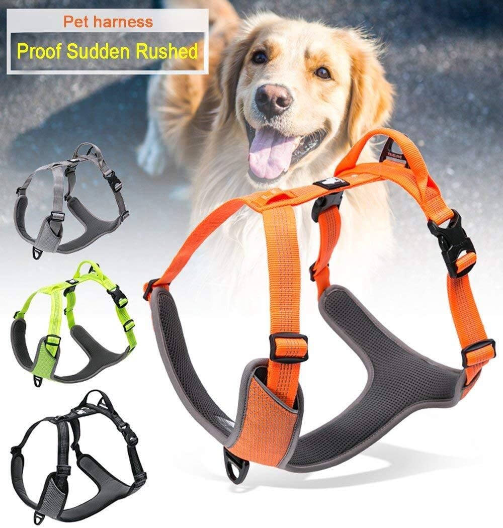 Reflective Padded Dog Harness for Walking & Hiking