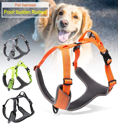 Reflective Padded Dog Harness for Walking & Hiking