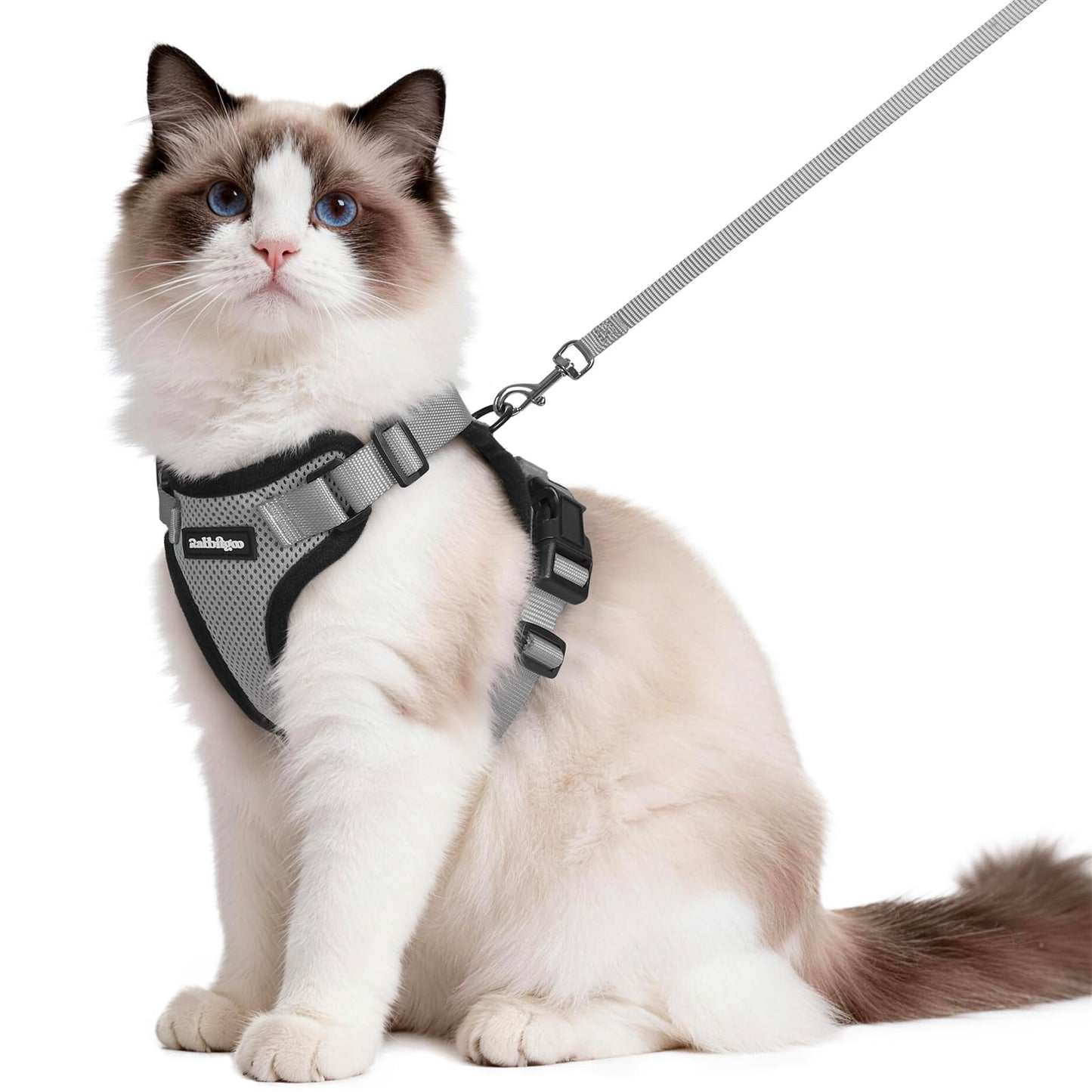 Adjustable Cat Harness & Lead Set for Walking