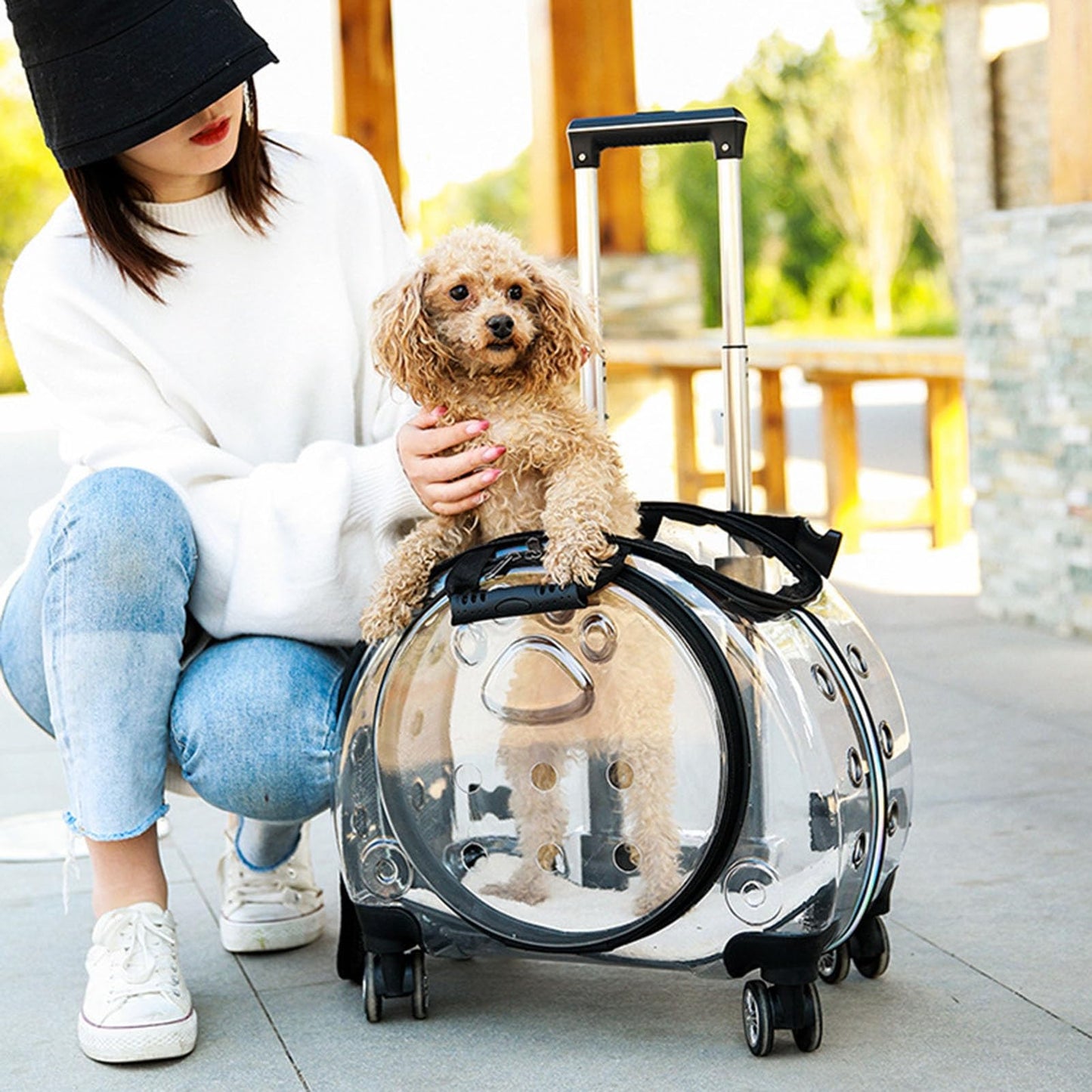 Wheeled Bubble Pet Carrier Backpack for Travel