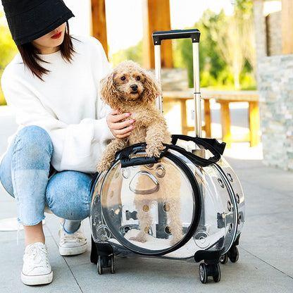 Wheeled Bubble Pet Carrier Backpack for Travel