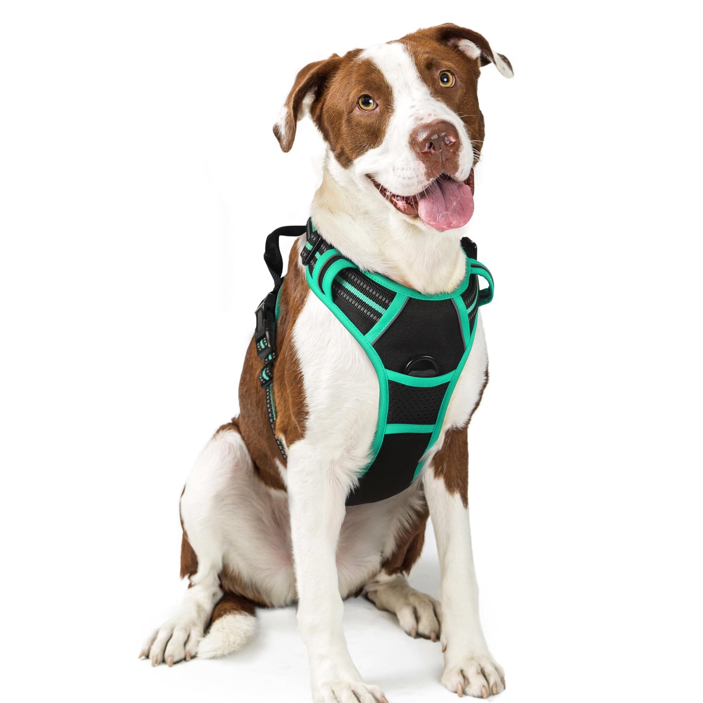 No-Pull Reflective Dog Harness with Control Handle