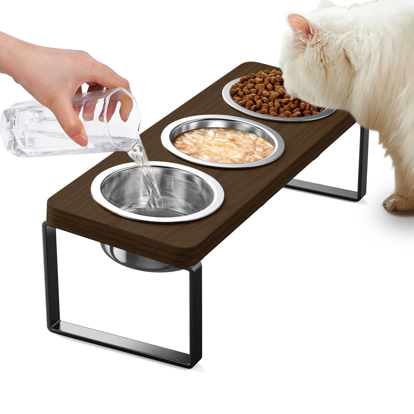 Elevated Cat Bowls 10°Tilted Raised Cat Bowls