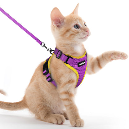 Adjustable Cat Harness & Lead Set for Walking