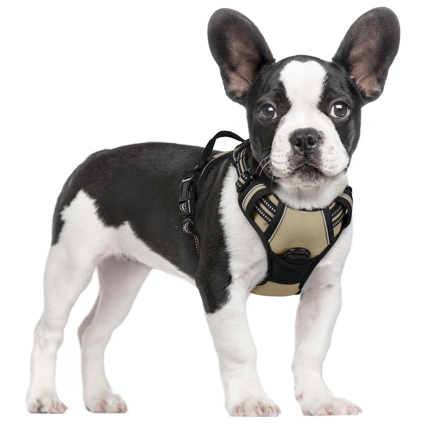 No-Pull Reflective Dog Harness with Control Handle
