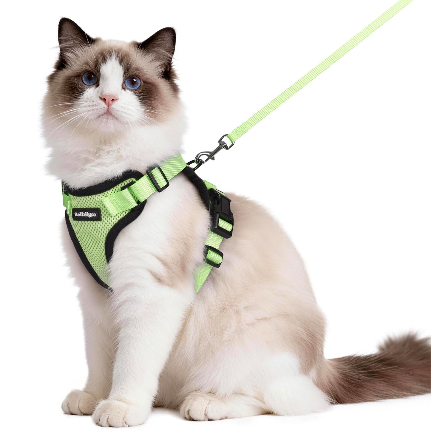 Adjustable Cat Harness & Lead Set for Walking