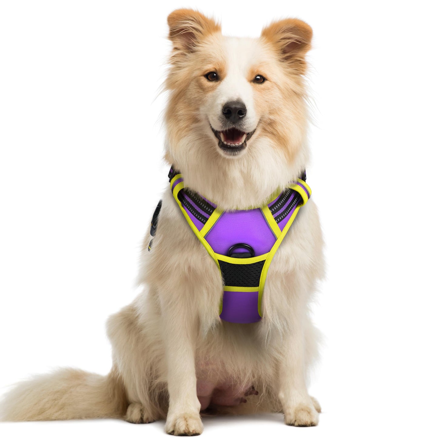 No-Pull Reflective Dog Harness with Control Handle