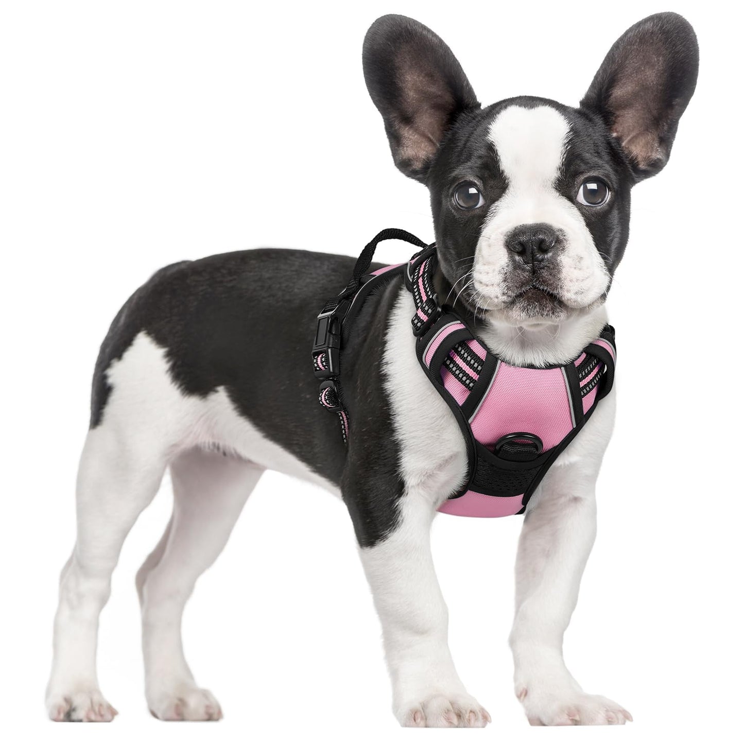 No-Pull Reflective Dog Harness with Control Handle