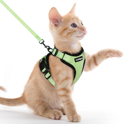 Adjustable Cat Harness & Lead Set for Walking