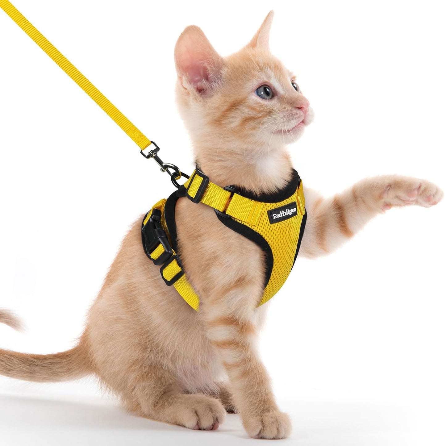 Adjustable Cat Harness & Lead Set for Walking