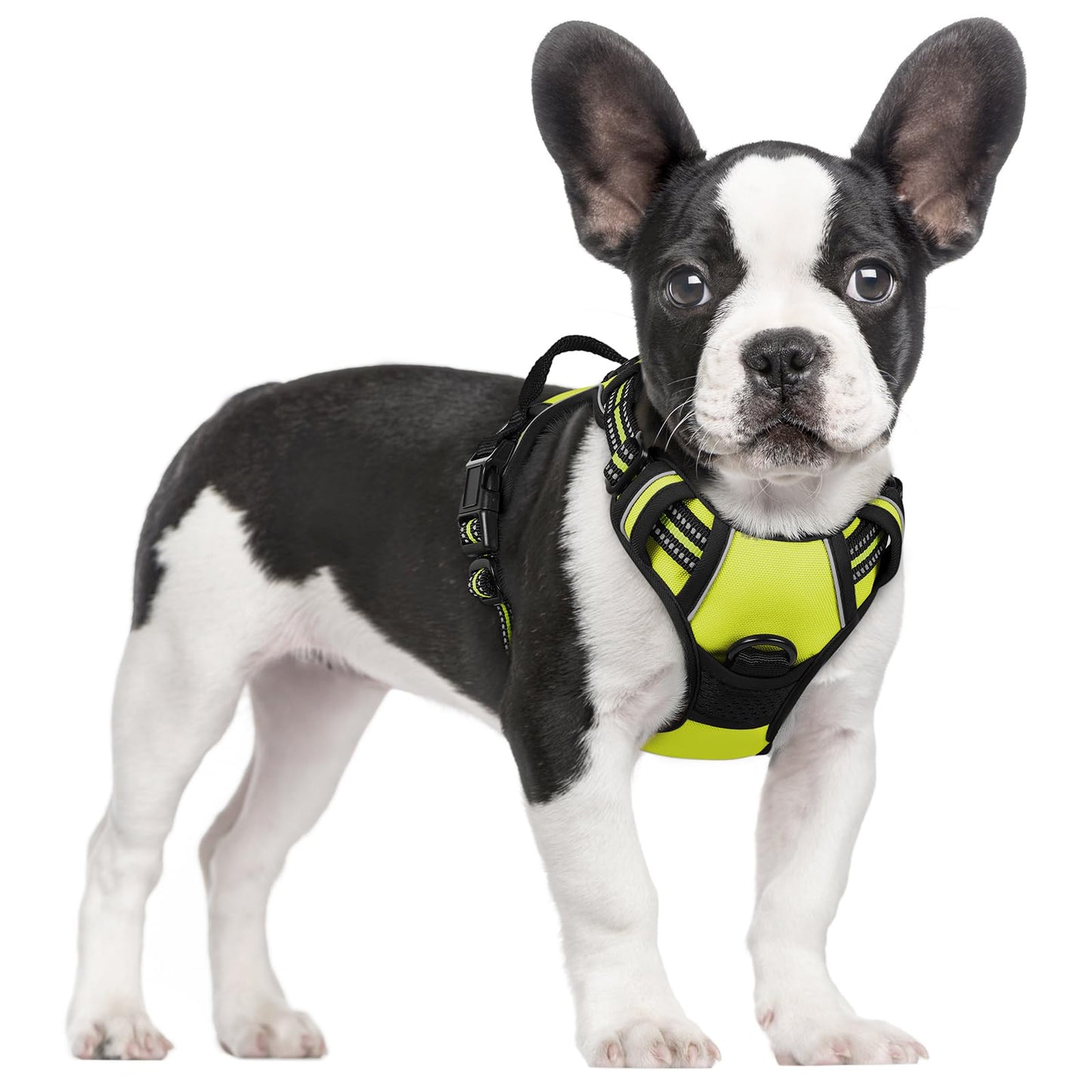No-Pull Reflective Dog Harness with Control Handle