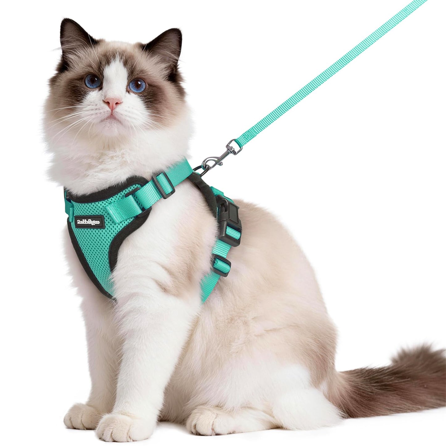 Adjustable Cat Harness & Lead Set for Walking